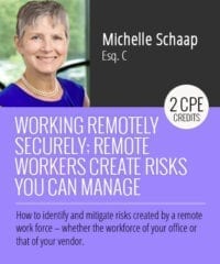 Working Remotely Securely; Remote Workers Create Risks You can Manage