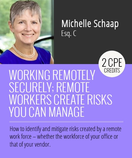 Working Remotely Securely; Remote Workers Create Risks You can Manage